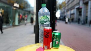 <p>'If everybody were to squash the container before binning it then each bin could take considerably more litter.' Pictue: Sasko Lazarov/RollingNews.ie</p>