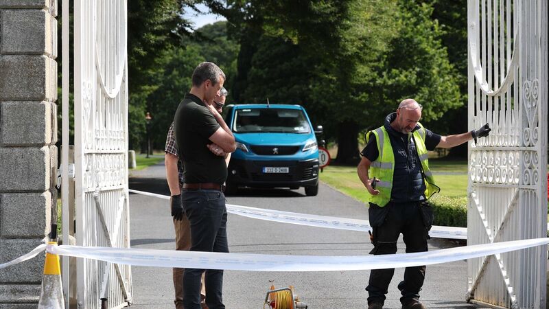 ‘Delusional’ man accused of ramming gates at Government Buildings, Áras an Uachtaráin and Custom House