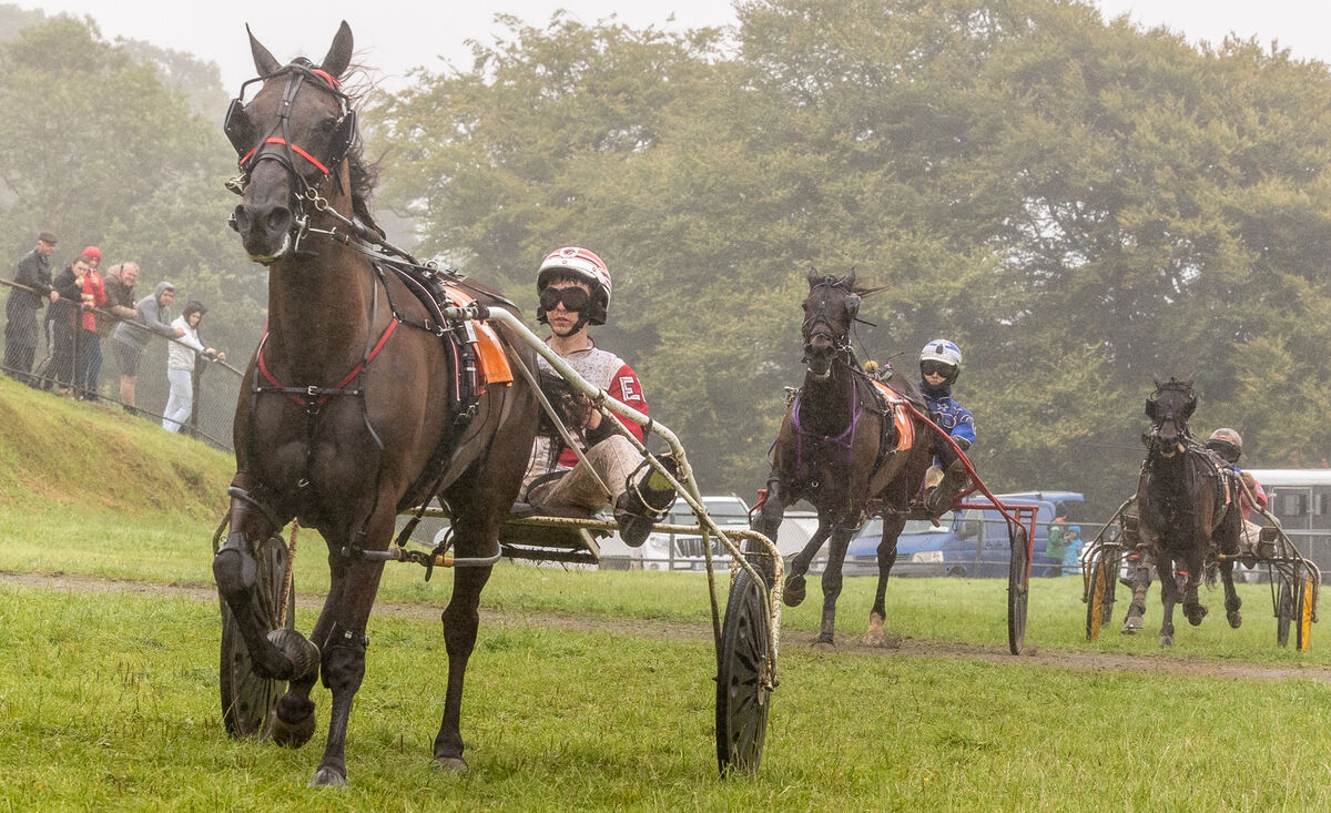 There were 1,300 or so harness racing devotees at the Ballabuidhe Horse Fair and Races. Picture: Neil Michael