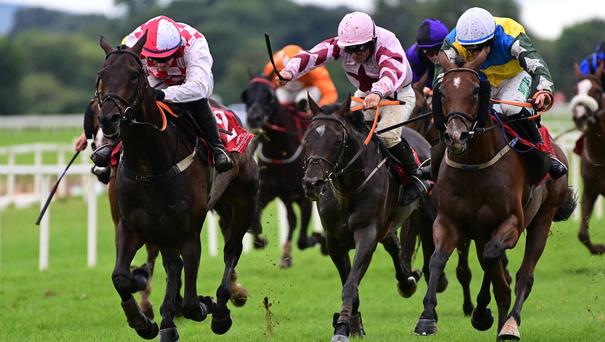 Aurora Vega and Saint Sam make light work of rivals at Cork