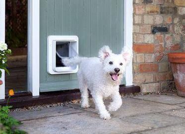 The SureFlap microchip pet door is available from Zooplus for €151.99.
