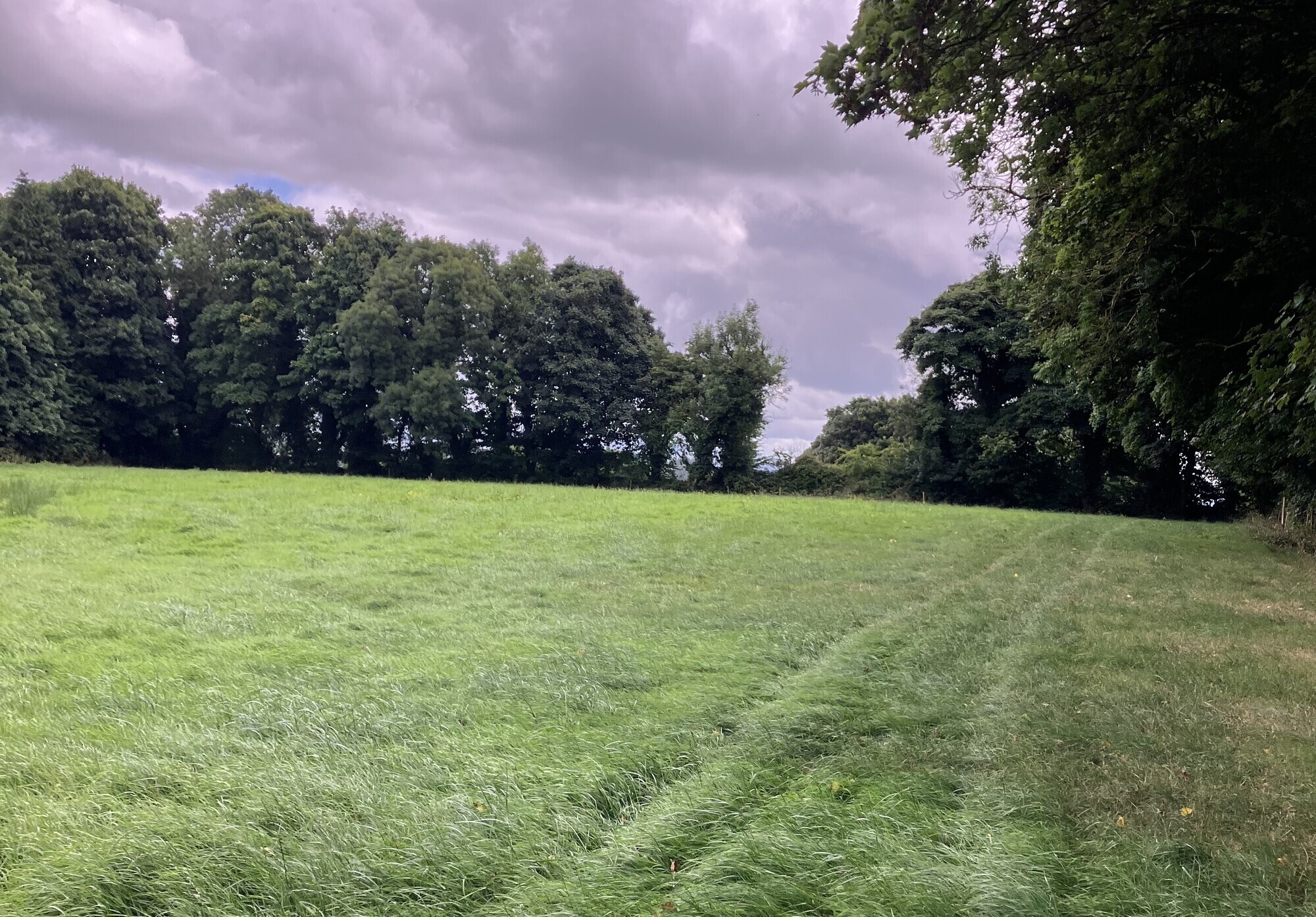 87-acre farm in North Cork for a tempting auction at €9,500/acre