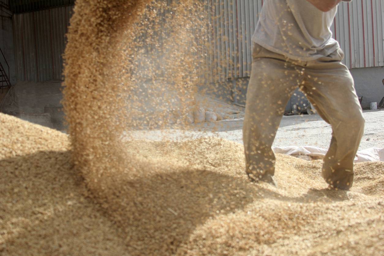 Stephen Cadogan: Cheap grain prices could backfire on Irish beef and dairy farmers