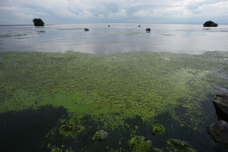 Lough Neagh's eel population has plummeted in recent decades. Picture: Niall Carson/PA Wire