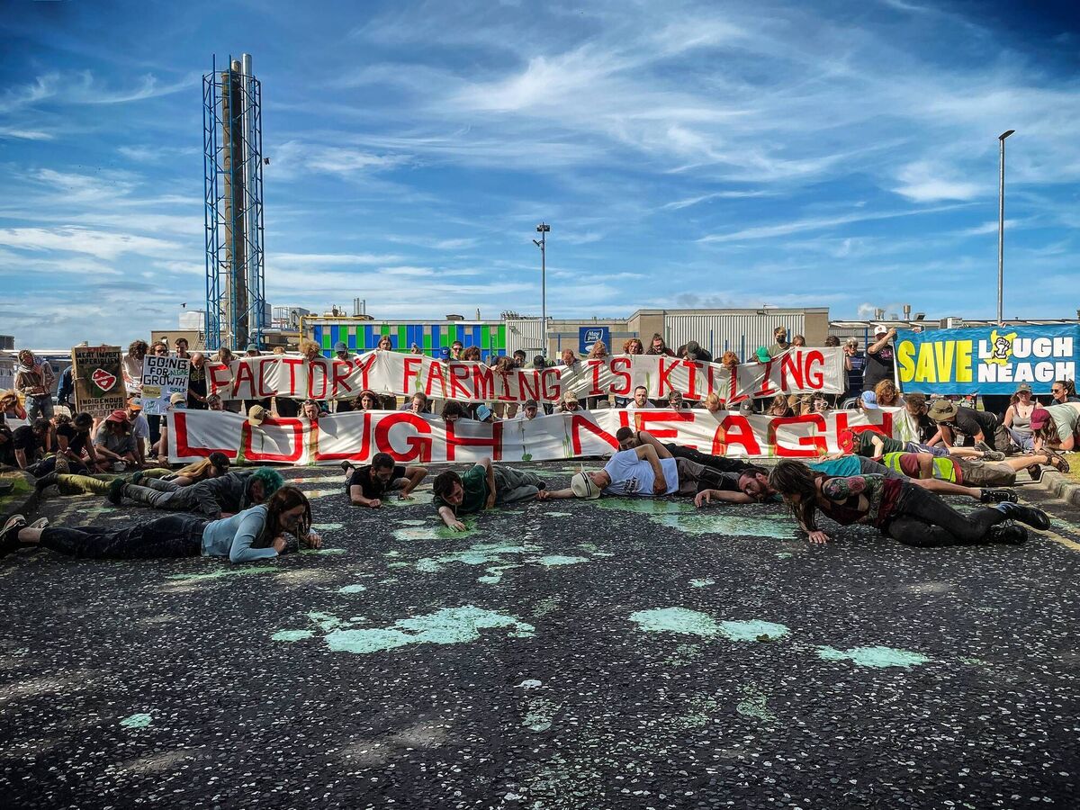Protesters say 'Factory farming is killing Lough Neagh' 
