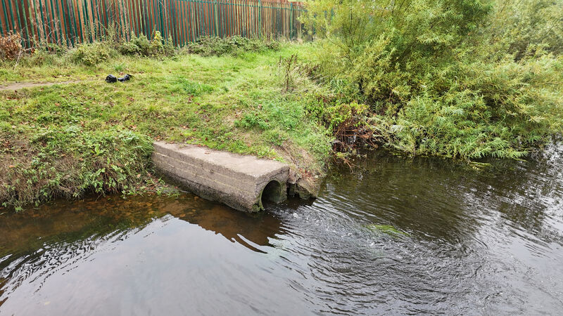 An outlet near the waste water treatment plant into the River Sullane. Picture: Dan Linehan An outlet near the waste water treatment plant into the River Sullane. Picture: Dan Linehan