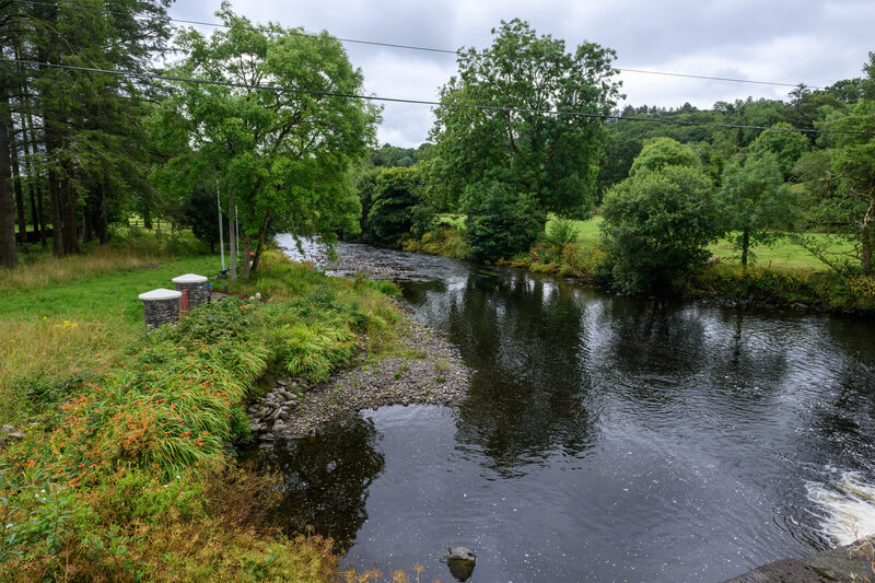 The River Sullane. Picture: Dan Linehan The River Sullane. Picture: Dan Linehan
