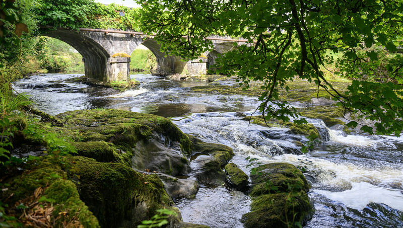 The River Sullane. Picture: Dan Linehan The River Sullane. Picture: Dan Linehan