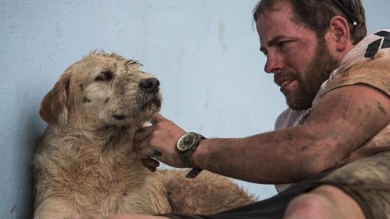 Stray dog Arthur bonds with adventure team; completes gruelling extreme-sport challenge