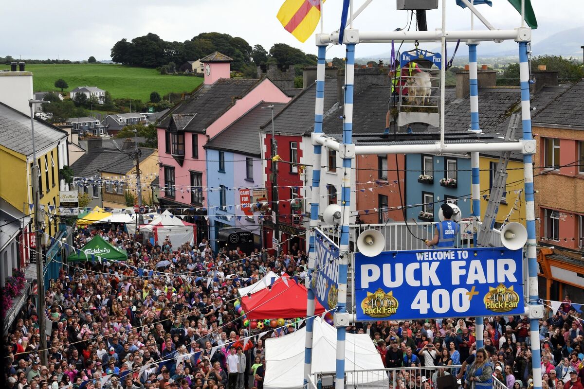 Mountain goat is crowned King Puck at the Killorglin Fair in 2023 Picture: Don Mac Monagle Mountain goat is crowned King Puck at the Killorglin Fair in 2023 Picture: Don Mac Monagle