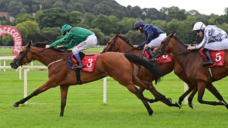 Shamida shows staying power to deliver Weld’s eighth success