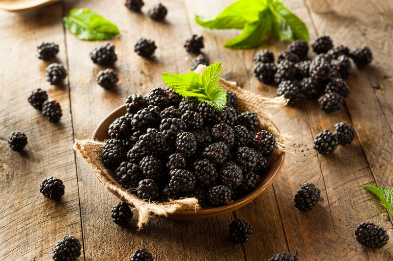 Blackberries are not the only good thing to come from bramble. Various parts of the plant have antiseptic and anti-fungal properties and are thus used in herbal medicine to treat all manner of ailments. A poultice made from bramble was traditionally used to reduce swelling. A tea can also be prepared from bramble leaves that can help treat colds, coughs and sore throats Blackberries are not the only good thing to come from bramble. Various parts of the plant have antiseptic and anti-fungal properties and are thus used in herbal medicine to treat all manner of ailments. A poultice made from bramble was traditionally used to reduce swelling. A tea can also be prepared from bramble leaves that can help treat colds, coughs and sore throats