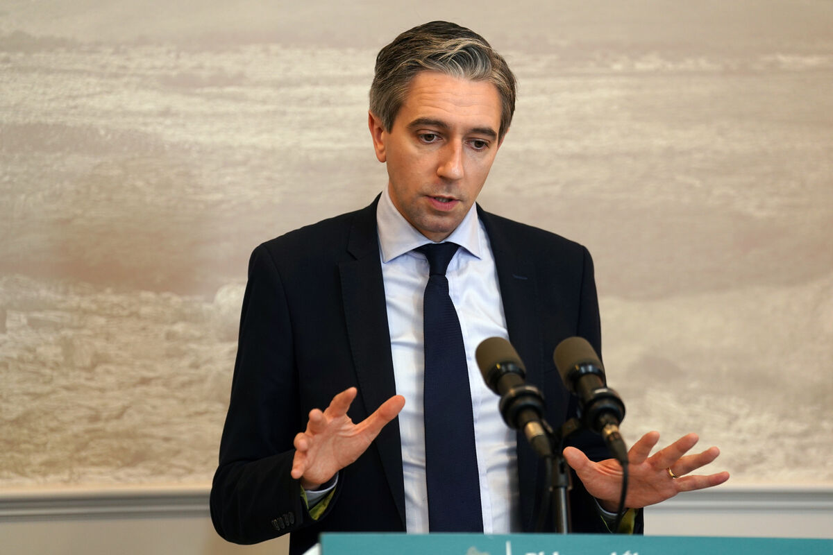 Taoiseach Simon Harris: 'I find that the scenes that are happening in the Middle East to be grotesque and almost unimaginable in terms of the scale of catastrophe and violence.'