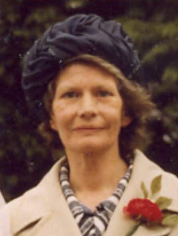 Nora Sheehan's body was found by forestry workers in undergrowth at The Viewing Point, Shippool Woods, Co Cork