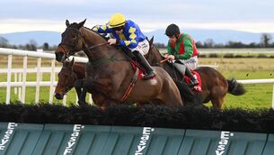 <p>Pictures Of Home is returning from a 95-day break. Picture: Healy Racing</p>