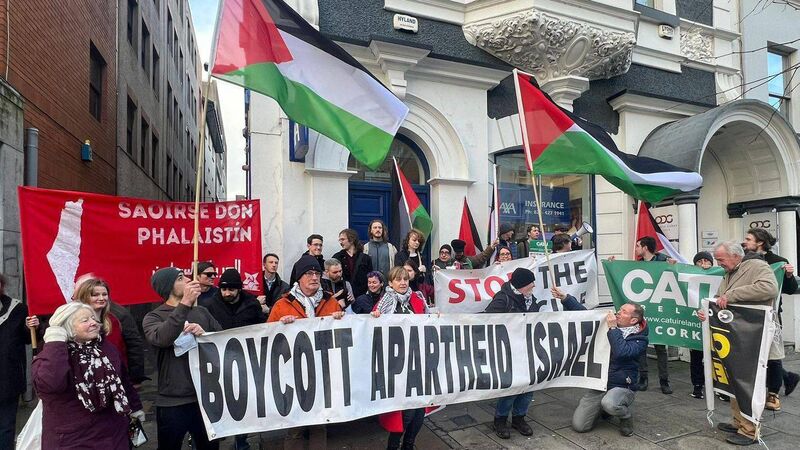 Pro-Palestine activists occupy AXA Insurance building in Cork City on January 26