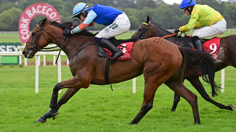 Step up in trip should suit Major Barry at Killarney