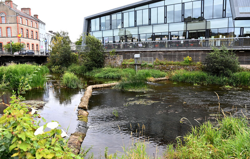 The overgrown River Suir at Barry's Bridge near the Source Arts Centre in the heart of Thurles. Picture: Eddie O'Hare The overgrown River Suir at Barry's Bridge near the Source Arts Centre in the heart of Thurles. Picture: Eddie O'Hare