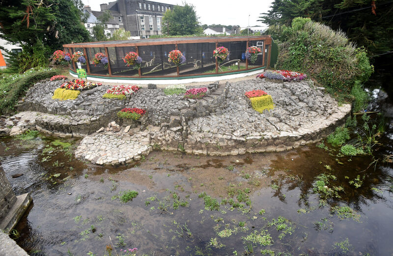 Pheasant Island near the Source Arts centre and Barry's Bridge and Cathedral Str on the River Suir in Thurles. Picture: Eddie O'Hare Pheasant Island near the Source Arts centre and Barry's Bridge and Cathedral Str on the River Suir in Thurles. Picture: Eddie O'Hare