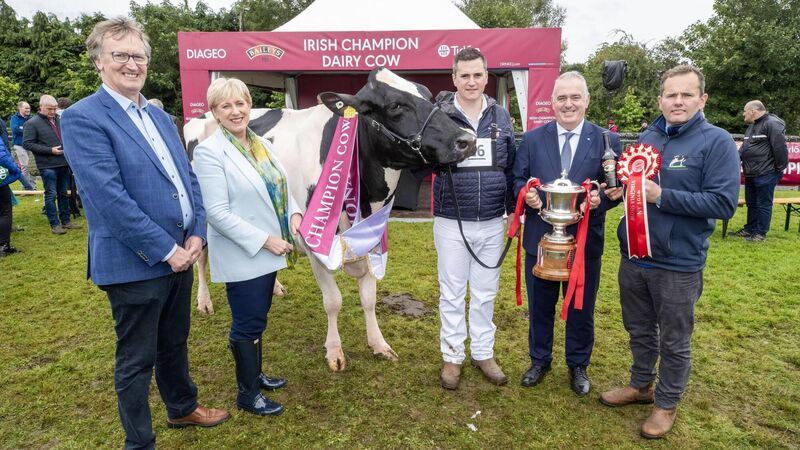 Monaghan is home to the 2024 Baileys Champion Cow