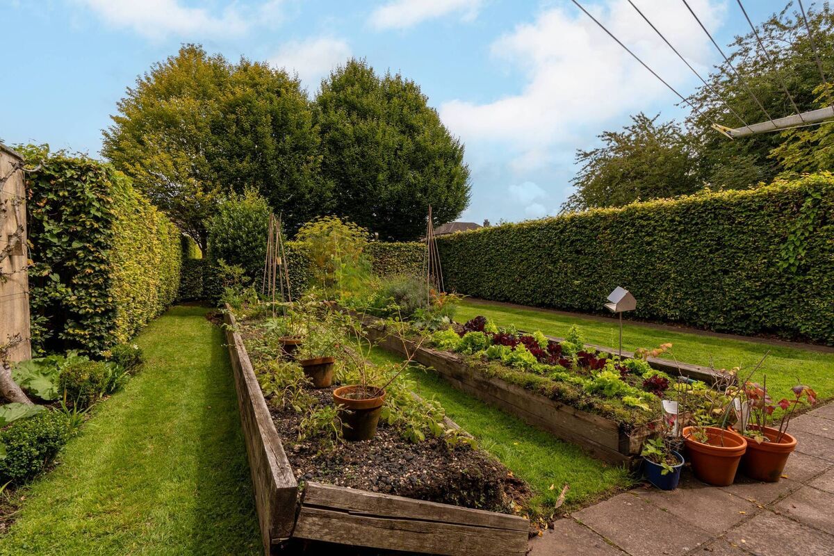 Veg garden at the far end is hidden from sight Veg garden at the far end is hidden from sight