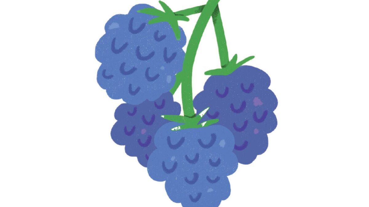 Apple and blackberry crumble