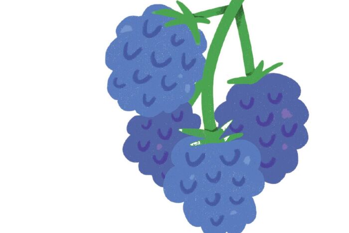 Apple and blackberry crumble