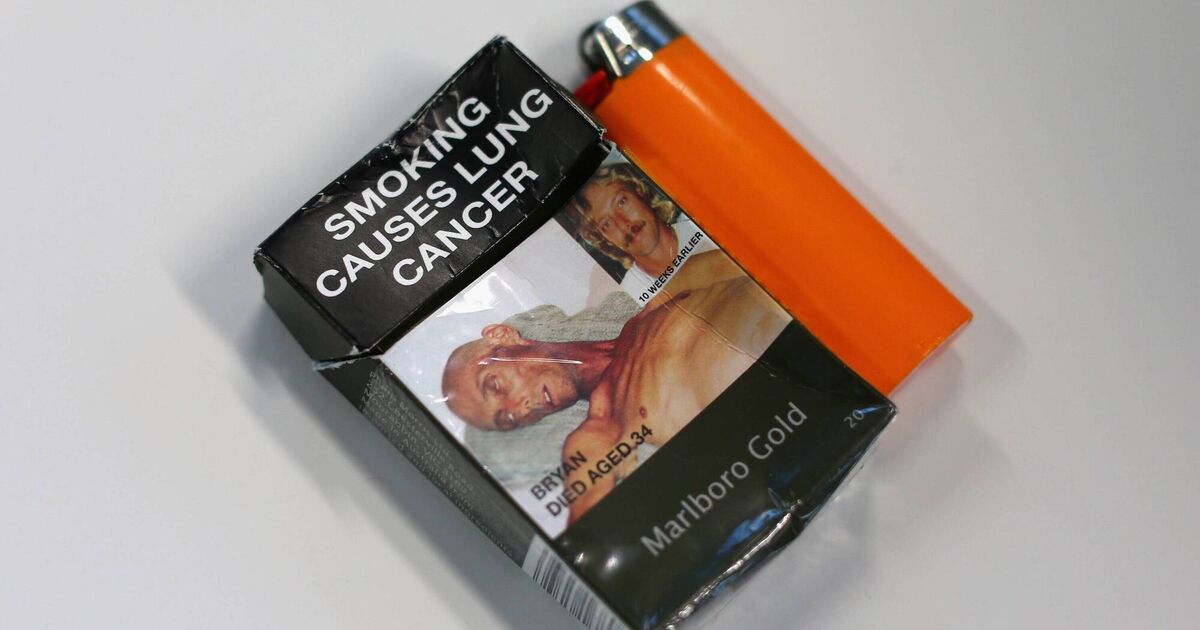 back of cigarette packet Plain packaging on cigarette packets made smoking less attractive to  smokers, says study
