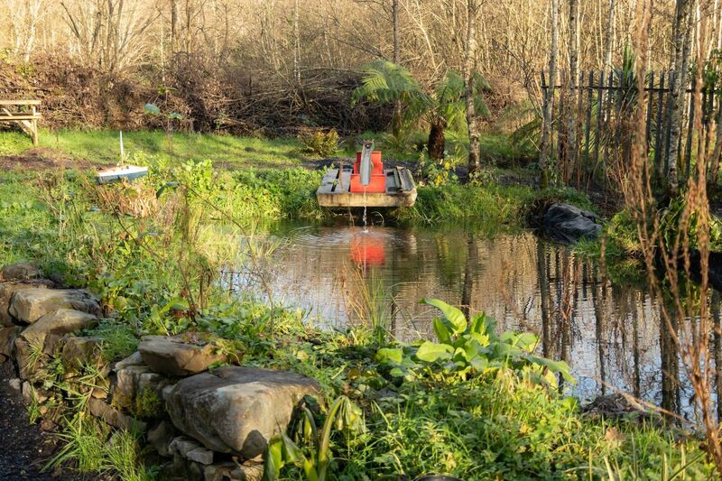 Ennis Men's Shed received a grant from BurrenBeo to help set up this pond. Picture: Ennis Men's Shed