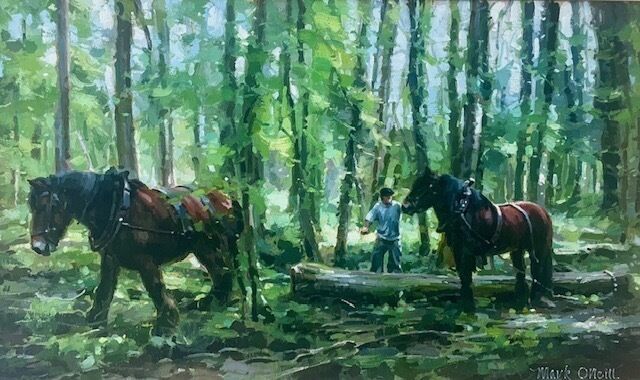 Deep in the Woods by Mark O'Neill.