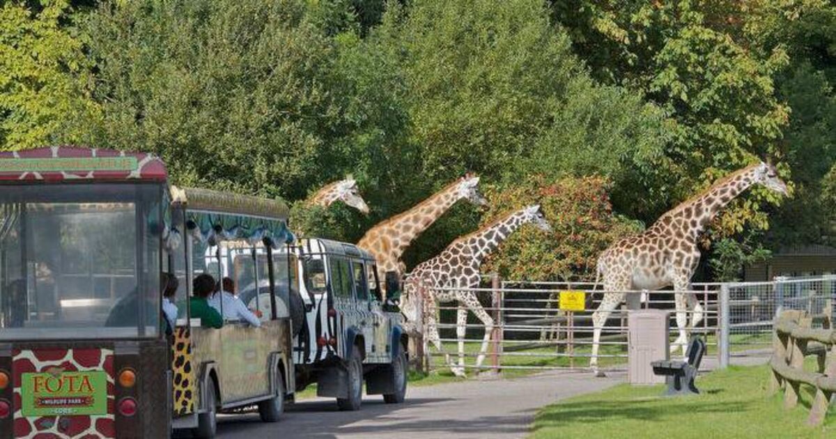 フォタ野生動物公園がサイバー攻撃を受ける。顧客にクレジットカードの解約を呼び掛け