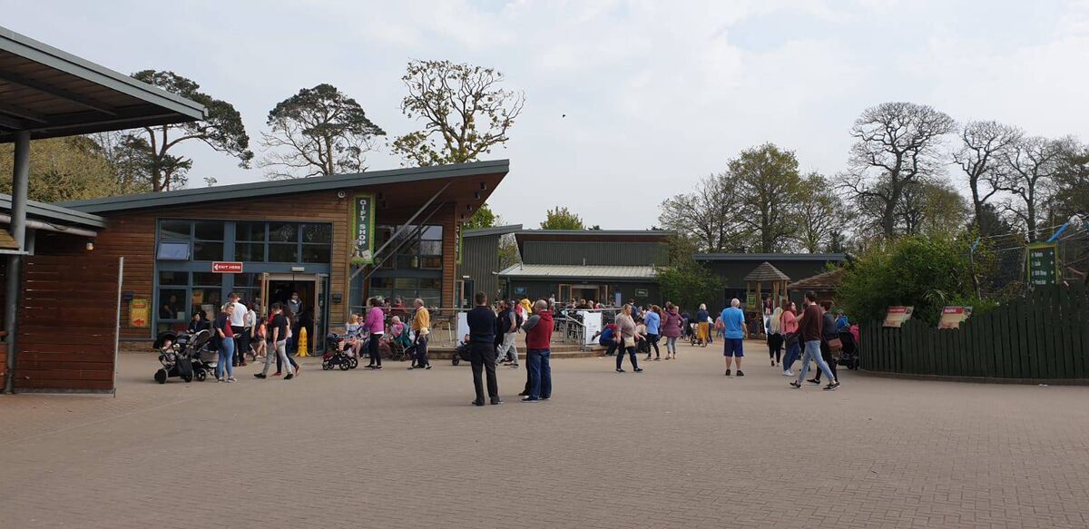 Fota Wildlife Park remains open for business but only tickets bought physically at its kiosks are currently being accepted. File picture Fota Wildlife Park remains open for business but only tickets bought physically at its kiosks are currently being accepted. File picture