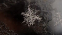 Video of a perfect snowflake forming is mesmerising stuff