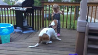 VIDEO: Toddler and dog dancing on a deck are the sweetest thing ever