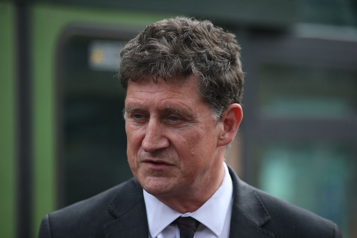 Minister for Transport Eamon Ryan said the €335,000 price tag on a new bicycle shed at Leinster House was an 'incredibly expensive' figure. Picture: Stephen Collins/Collins Photos