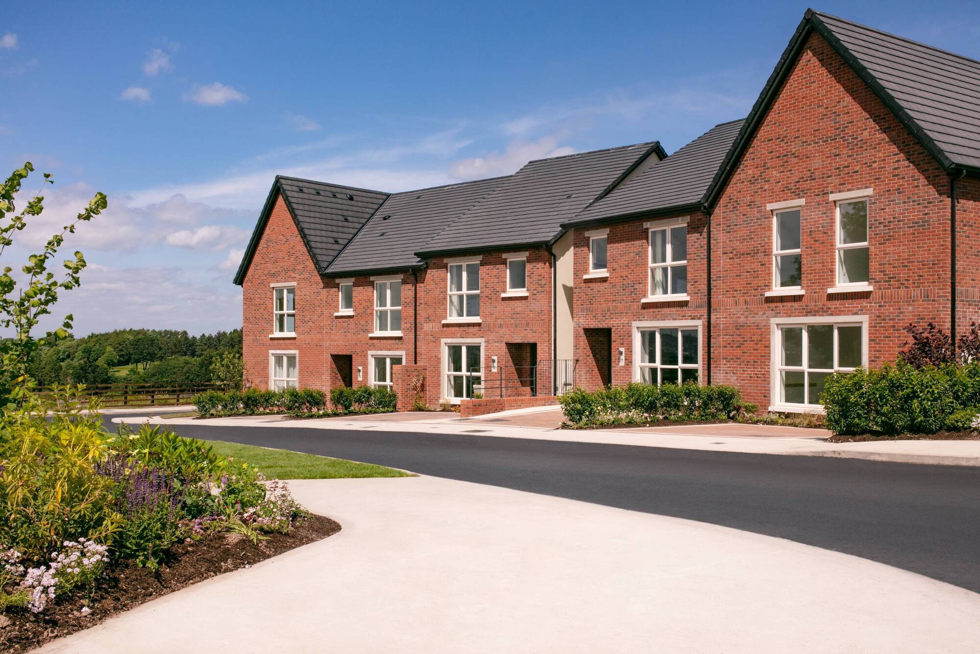 Homebuilder Cairn posts jump in revenue and swells its order book