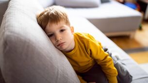 <p>"The loss of a family pet is significant for adults and children. For some, losing a pet who was loved and who provided love and companionship can be as deep as the loss of a person"</p>
