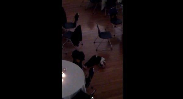 This kid at a wedding has the slickest dance moves of anyone, ever