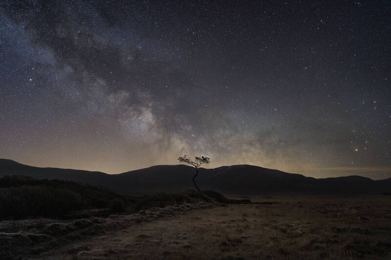 "Milky Way Tree", Wild Nephin National Park. Picture: Josh Matthews