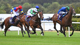 <p> Surpass And Shine (right) on the way to finishing behind Perfect Judgement in the Aer Lingus College Football Handicap at Leopardstown last month. Picture: Healy Racing</p>