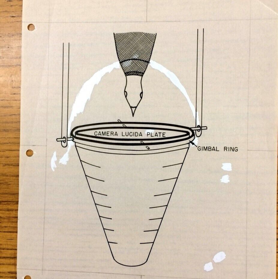 BF Skinner's Project Pigeon experiment. This involved training pigeons to pilot bombs. Picture: BF Skinner /PA Wire
