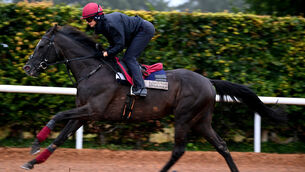 <p>REDEMPTION TRAIL: Auguste Rodin and rider Rachael Richardson during morning exercise at Ballydoyle earlier this month. Last year's Derby hero disappointed in the King George on his most recent start but can bounce back to retain his Irish Champions Stakes crown at Leopardstown on Saturday. 	Picture: Healy Racing</p>