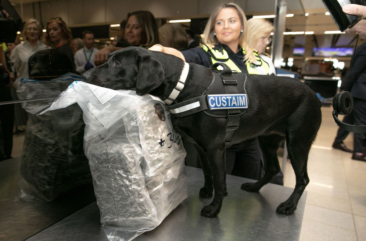 Revenue Customs official Sarah and Revenue Customs detection dog Maggie, during an update to media by An Garda Siochana and partners in Revenue Customs following joint intelligence operations at Dublin Airport, which have led to the arrest of a number of international passengers detected importing drugs into Ireland through Dublin Airport in the past ten days. Picture: Gareth Chaney/PA