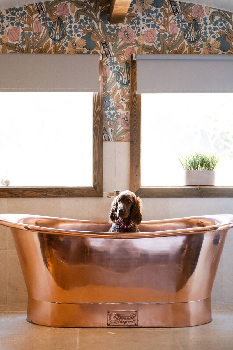 Galgorm resort offers a range of dog-friendly accommodation where both you and your four-legged friend can relax in the lap of luxury.