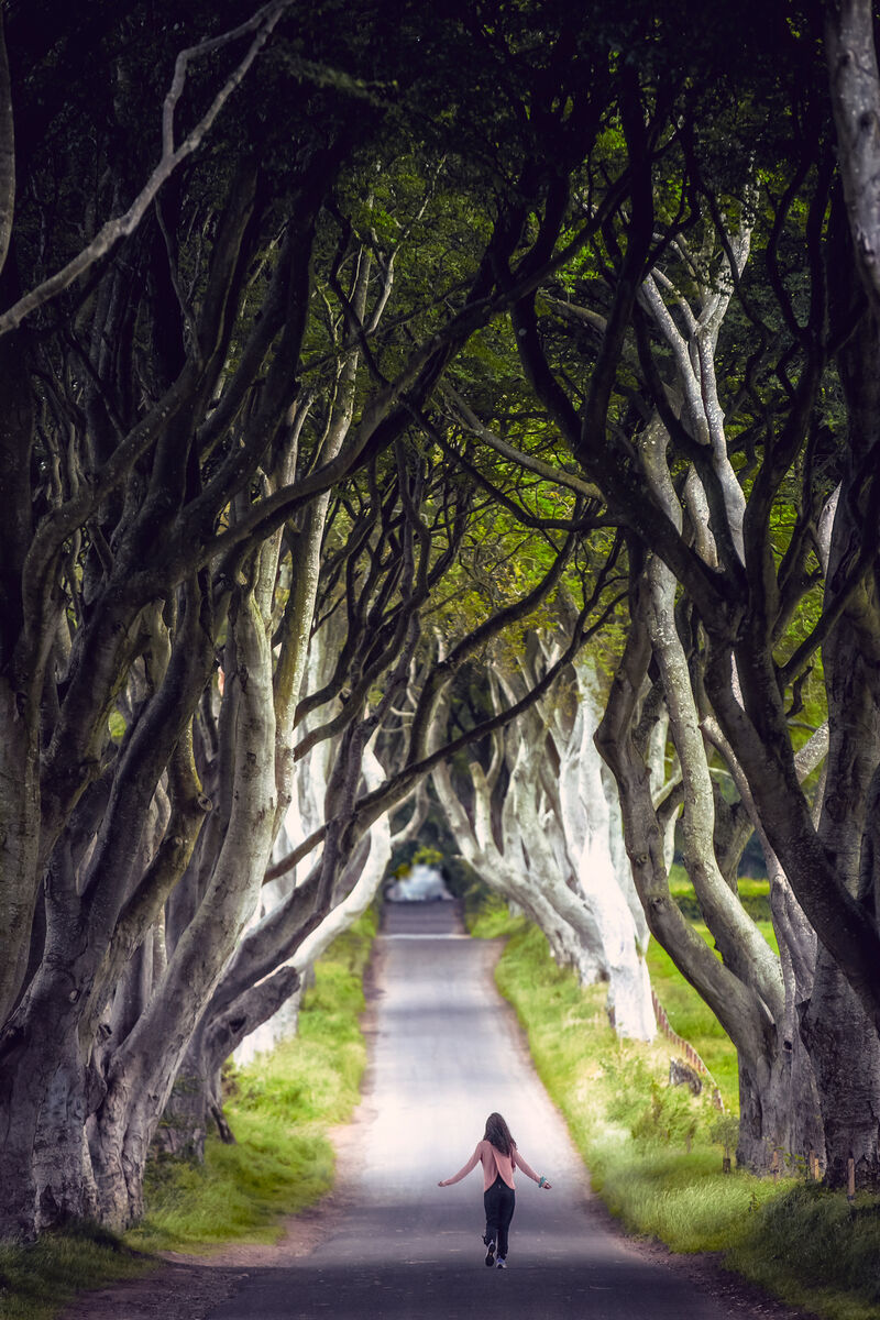The Dark Hedges, of Game of Thrones fame, make for a great photo op.