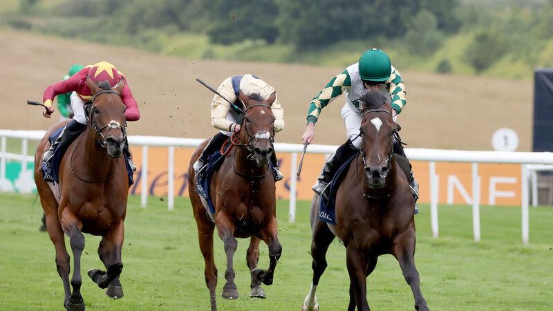 Ruby Walsh: Porta Fortuna looks banker material in Matron Stakes Ruby Walsh: Porta Fortuna looks banker material in Matron Stakes