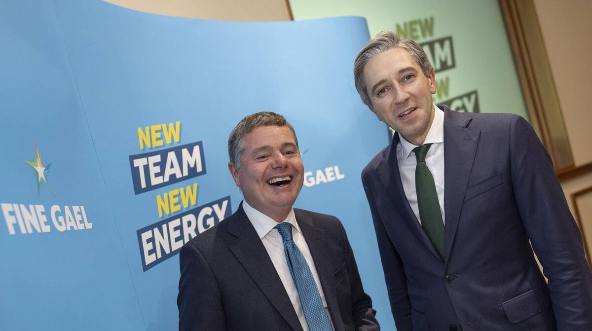 Paschal Donohoe and Simon Harris at Fine Gael's think-in on Wednesday. Picture: Fergal Phillips  