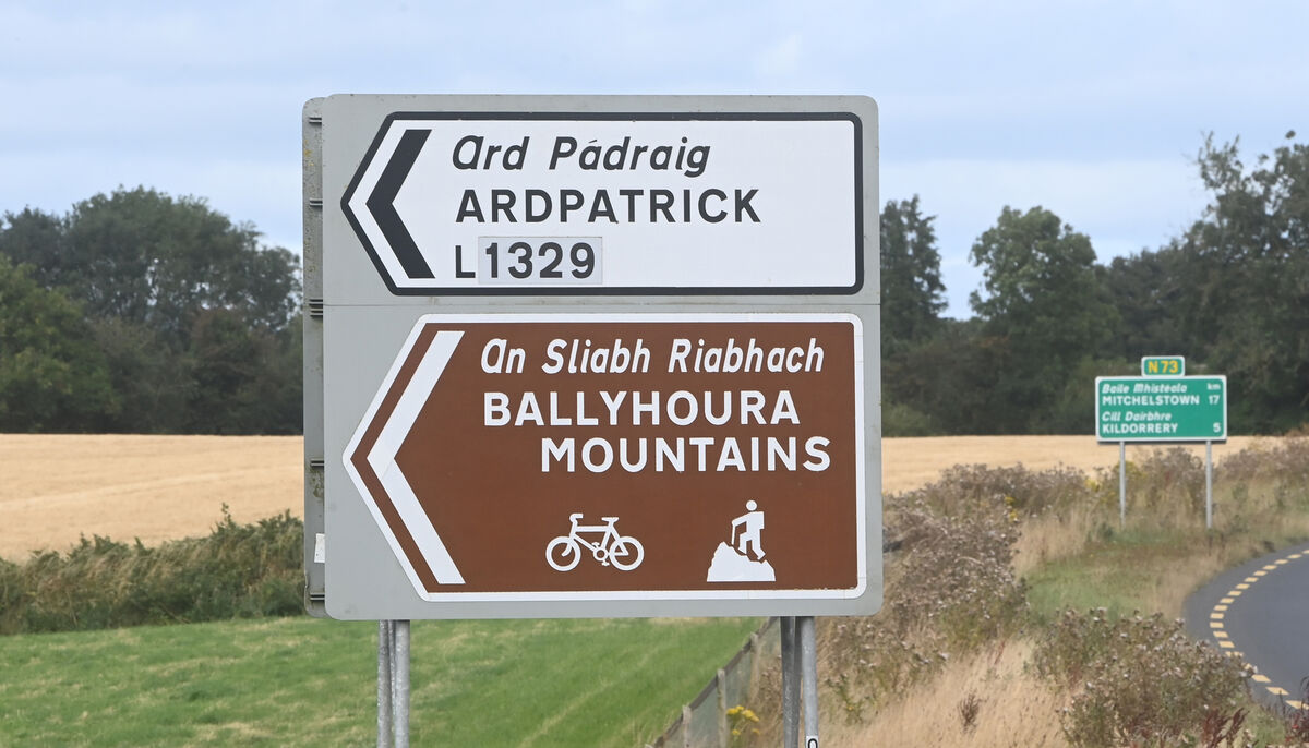  The court heard that the destroyed woodland was adjacent to the Ballyhoura Mountains Special Area of Conservation. File picture: Larry Cummins