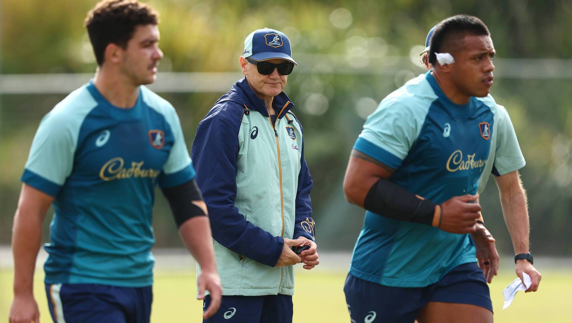 All Blacks wary of Wallabies bounce back with Joe Schmidt's inside knowledge