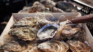<p>Galway International Oyster Festival takes place from September 27-29</p>